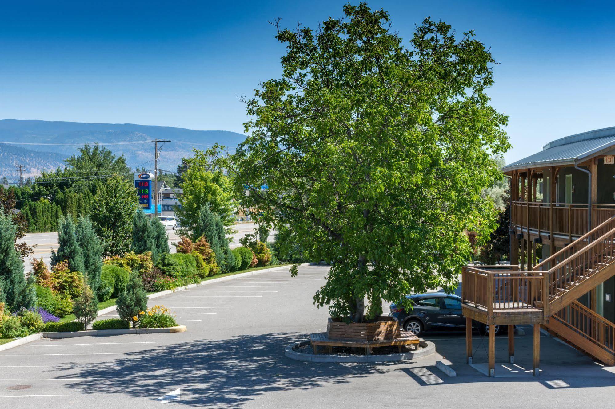 Summerland Motel Exteriör bild